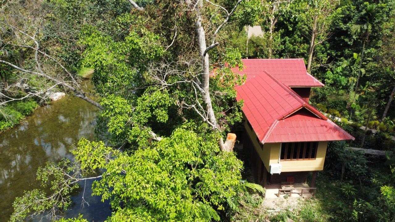 Art'S Riverview Lodge Khao Sok National Park Екстериор снимка