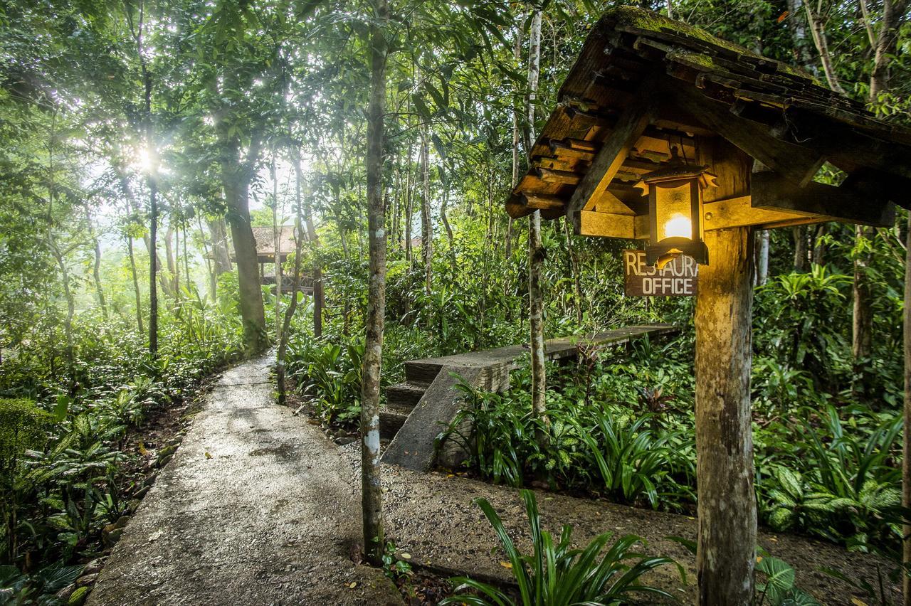 Art'S Riverview Lodge Khao Sok National Park Екстериор снимка
